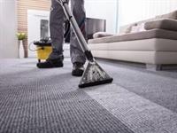 highly successful carpet cleaning - 3