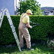 established garden maintenance business - 3