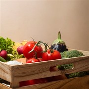 wholesale fruit veg distribution - 1