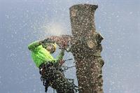proven arboriculture business with - 1