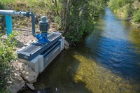 thriving essential water irrigation - 3
