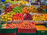 profitable fruit veggie wholesaler - 1
