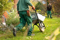 established landscaping garden design - 1