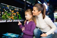 amazing aquarium business the - 1