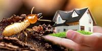 termite prevention business simplicity - 1