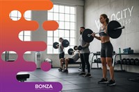 36806 franchise fitness business - 3