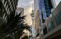 commercial property entertainment hub - 2