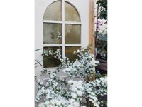 boutique plant giftware store - 2