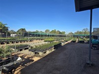 central to north queensland - 2
