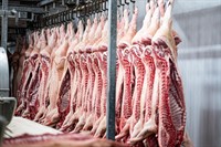 gold coast large-format butchery - 3