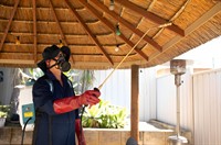 sure pest control franchises - 3