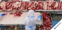 nsw meat wholesalers 36 - 1