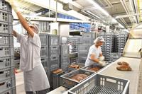 bread manufacturing wholesale opportunity - 2