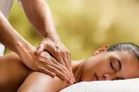massage business great profit - 1