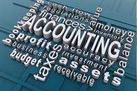 highly profitable accountancy firm - 2