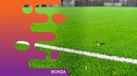 36714 established synthetic grass - 2