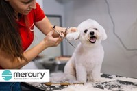 long-established dog grooming biz - 1