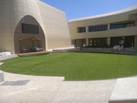 synthetic grass supplier melbourne - 2