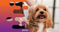 36635 profitable mobile dog - 2