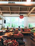 busy profitable fruit veggie - 3