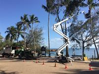 long-established tree services business - 2