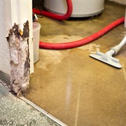 coming soon water damage - 3