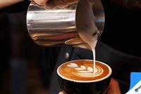 sydney hospitality cafe group - 1