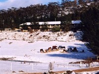 motel for sale cooba - 1