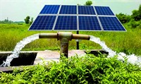 thriving essential water irrigation - 2