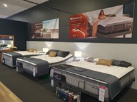 established profitable bedshed franchise - 3