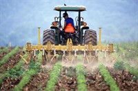 freehold agricultural supplies toowoomba - 2