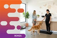 37107 reputable dog grooming - 2