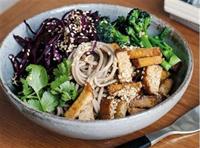 delightful noodle shop business - 1
