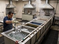 specialist anodising business freehold - 2