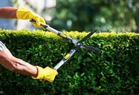 long-established lawn garden business - 3
