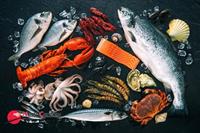 seafood wholesale melbourne 1p9497 - 1