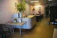 under offer chinese takeaway - 2