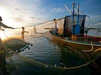 profitable commercial fishing business - 2