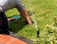 34241 landscaping garden maintenance - 3