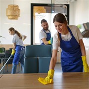 profitable cleaning business busselton - 1