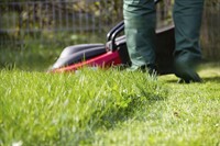 long-established lawn garden business - 2