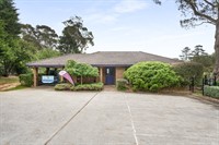 highlands veterinary hospital southern - 1