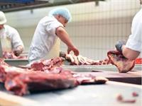 profitable coastal butchery turnkey - 2