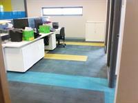 carpet cleaning business first - 3