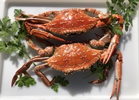 established mobile seafood retail - 3
