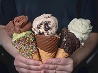 c9 chocolate gelato franchise - 2