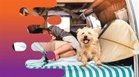 35537 profitable campervan car - 2