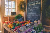 online organic grocery market - 3