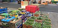 wholesale fresh produce business - 1