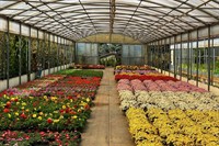 horticulture nursery agriculture businesses - 2